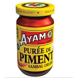 Ayam Puree De Piment 100Gx12