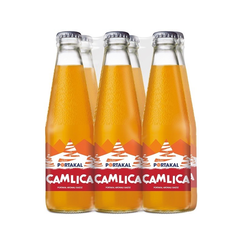 Boisson Orange CAMLICA - Lot de 24 canettes